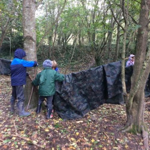 Stubbington Trip - Forest School Activities