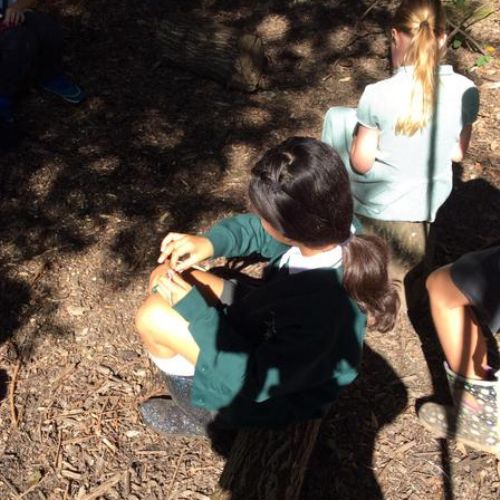 Making Crosses in the woods!